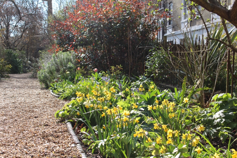 Arundel & Ladbroke Gardens